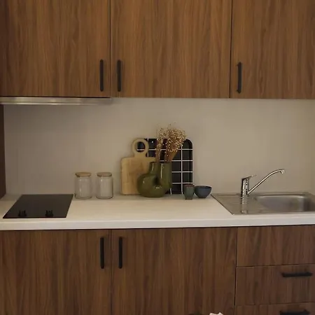 Spacieux, Confort Et Climatise A 500m De La Appartement